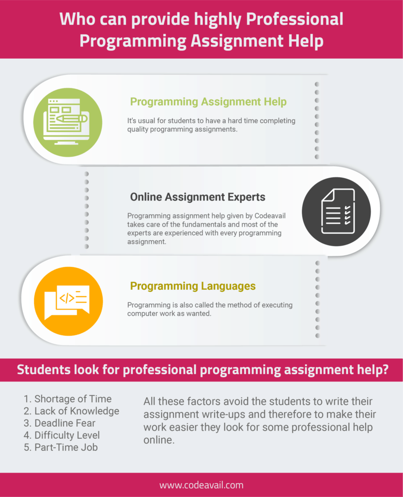 Who can provide highly Professional Programming Assignment Help-infographic