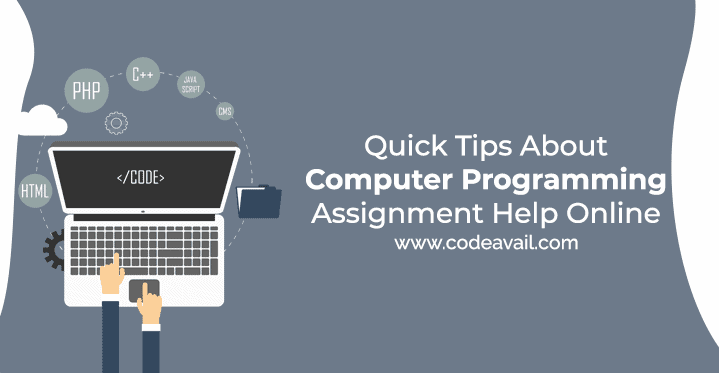 7 Things I Would Do If I'd Start Again Programming Assignment Help