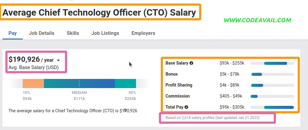 Chief Technical Officer (CTO)