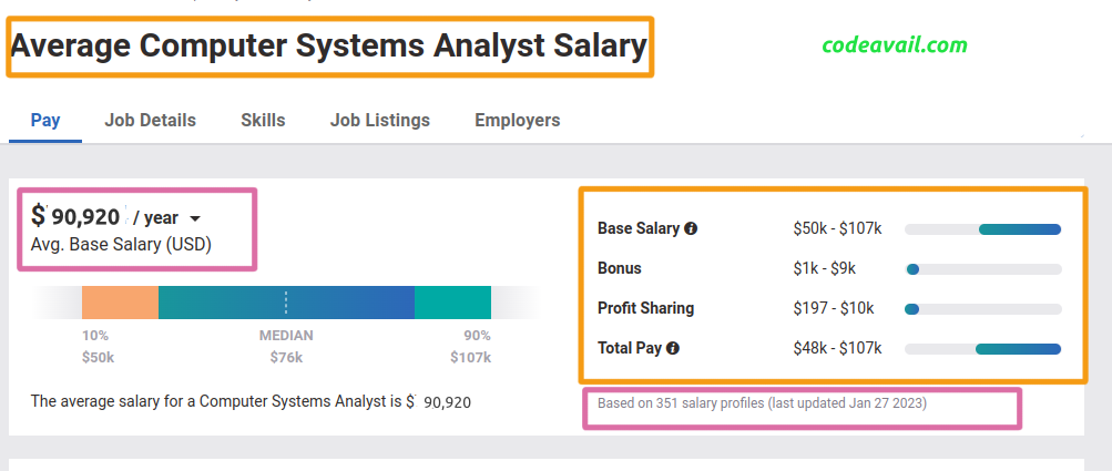 Computer system analyst