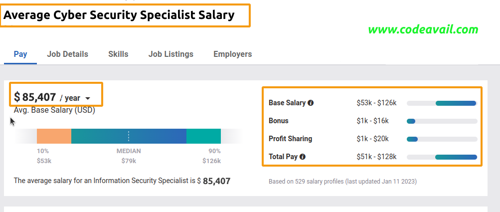 Cyber Security Specialist