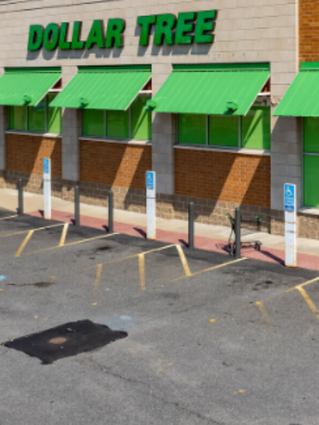 Dollar Tree 9 HighQuality Items To Buy in April CodeAvail