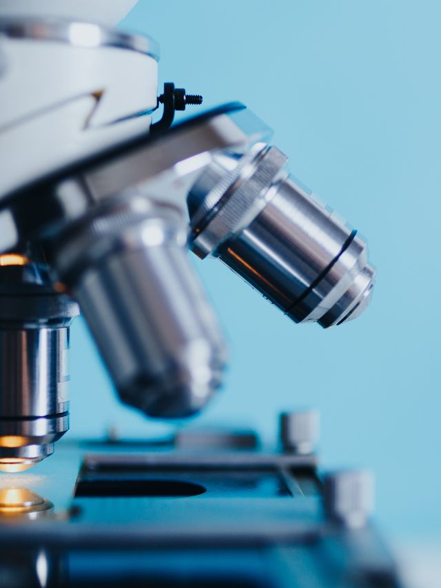 Best Interesting Biology Topics For Presentation CodeAvail Best Interesting Biology Topics For Presentation CodeAvail