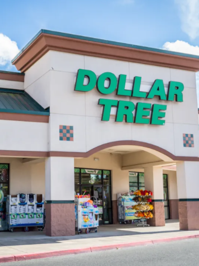 10 Things To Buy At Dollar Tree In October 2023