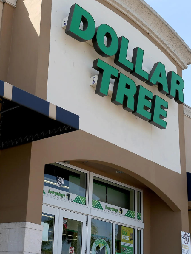 Best 8 Dollar Tree Items To Stock UP ASAP - CodeAvail