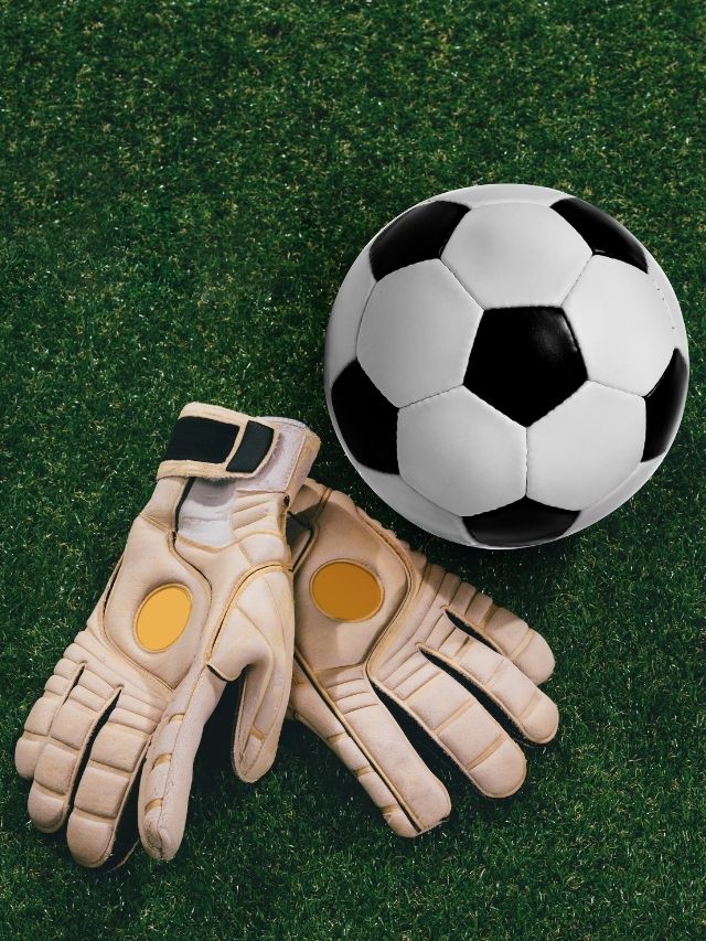 Best Goalkeepers in the World 2023 CodeAvail