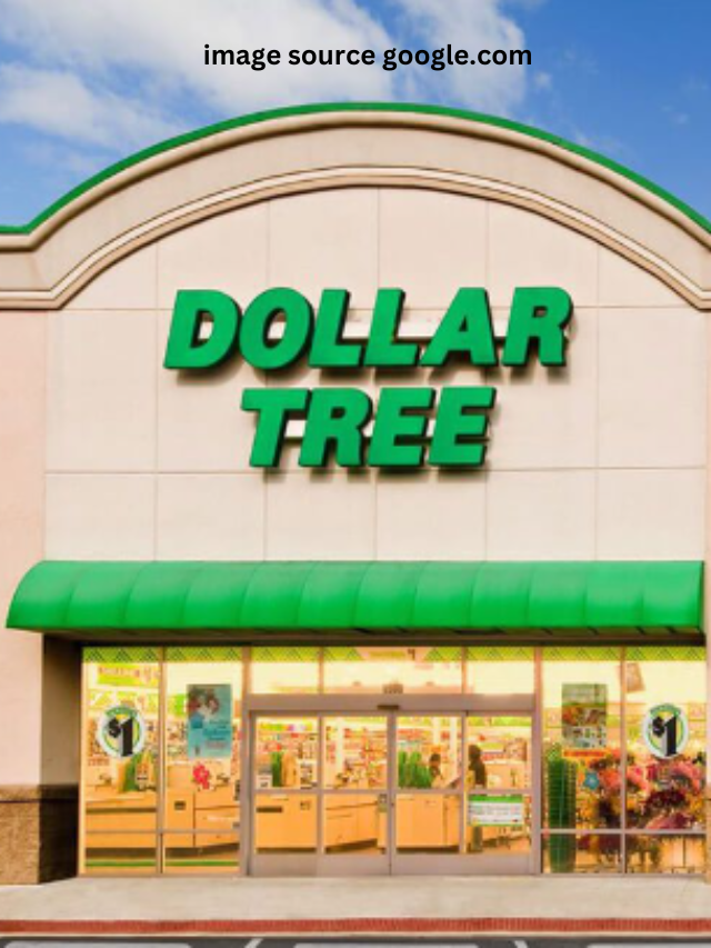 5 Dollar Tree Brand-New Items Are Worth Buying Now - CourseMentor™