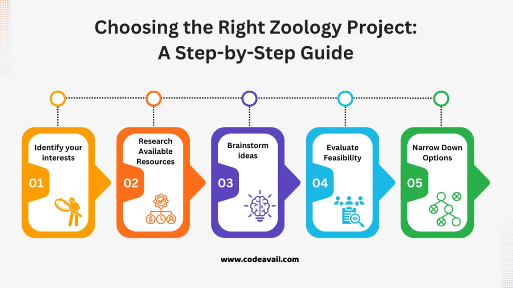 choosing the right zoology project: a step-by-step guide