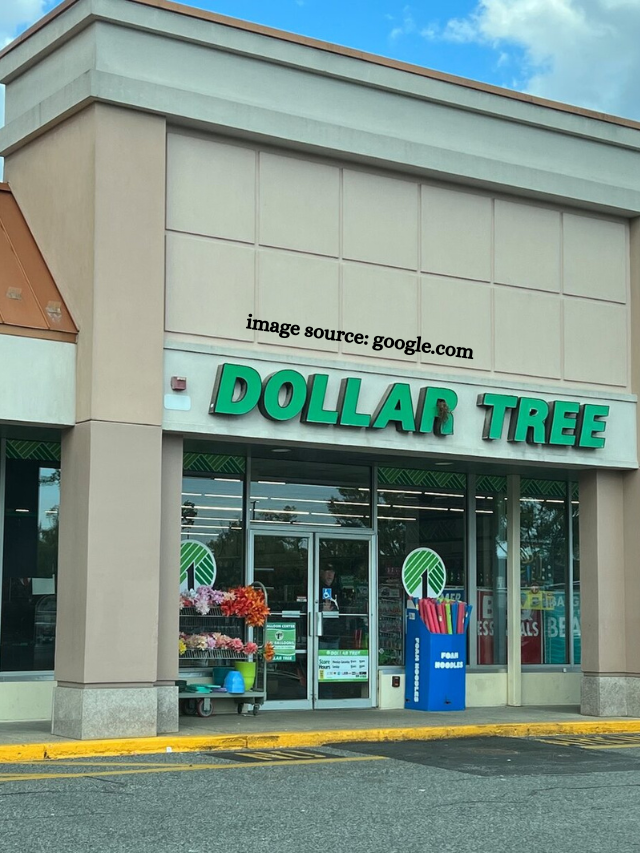 10 Affordable New Items Coming to Dollar Tree This Spring