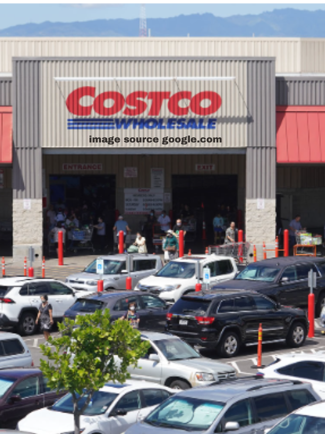 10 New at Costco Trendy Things to Buy This Month