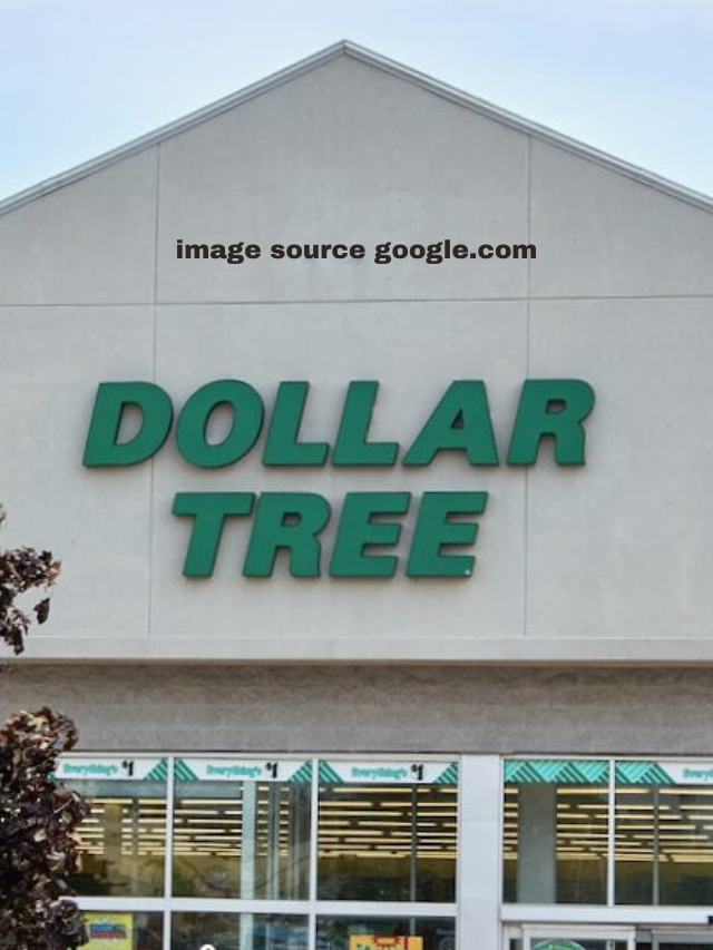 11 Best Home Items To Buy at Dollar Tree in April