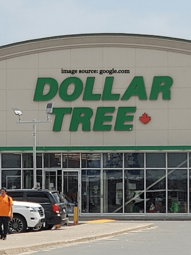 7 Household Items That Are Always Cheaper at Dollar Tree