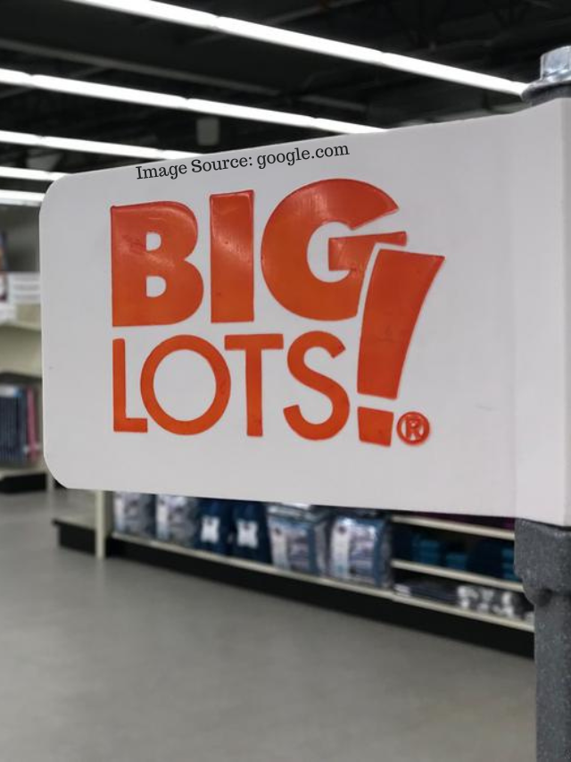 6 Best Expensive-Looking Things You Can Buy At Big Lots