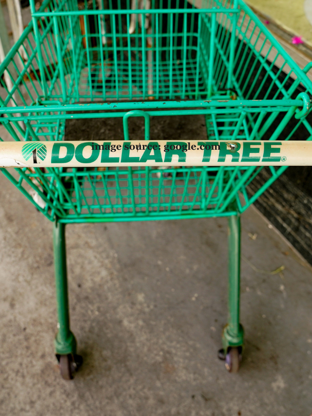 7 Best Dollar Tree Home Finds That Are Great for Extra Storage