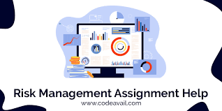 Risk Management Assignment Help Get Help With Risk Management Assignment