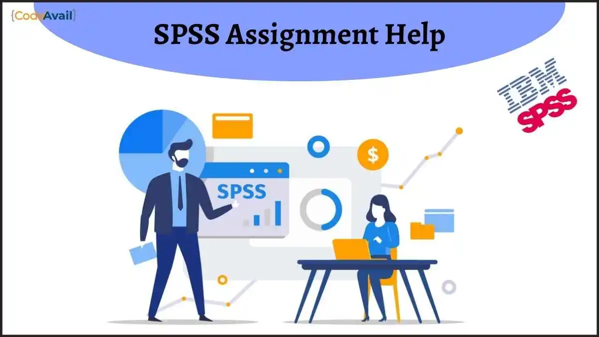 SPSS Assignment Help