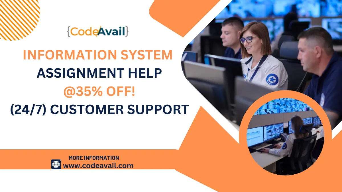 information system assignment help