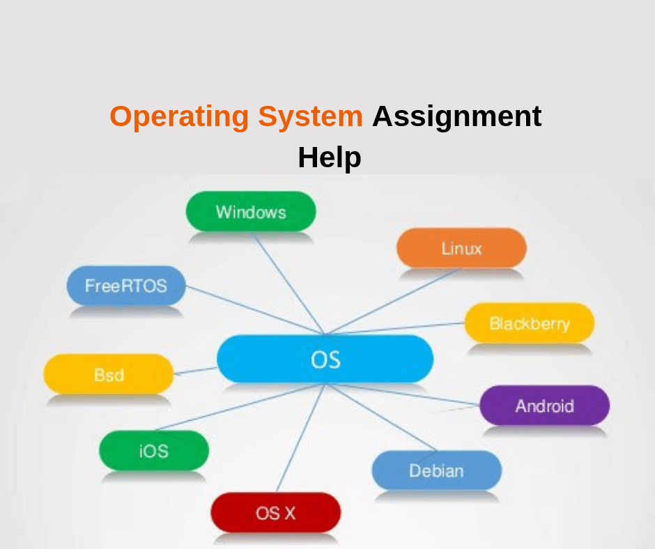 assignment on windows operating system